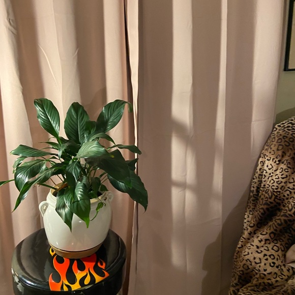 Meet your Posher, Kennedy - Picture 4 of 15